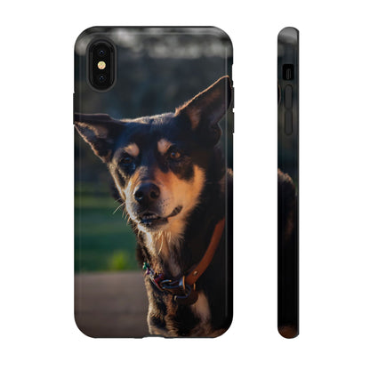 Tough Case - Saba the Kelpie iPhone XS MAX Glossy