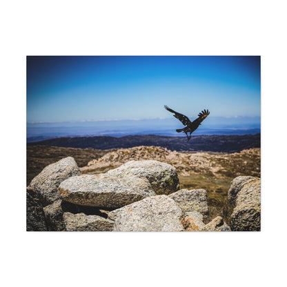 Little Raven Mt Kosciuszko Canvas Print 40" x 30" (Horizontal) 1.25"