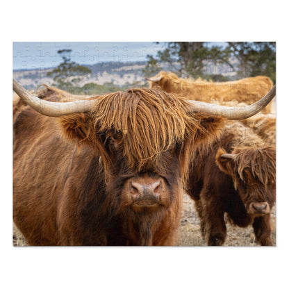 Scottish Highland Cattle Puzzle with Tin 14" × 11" (252 pcs)