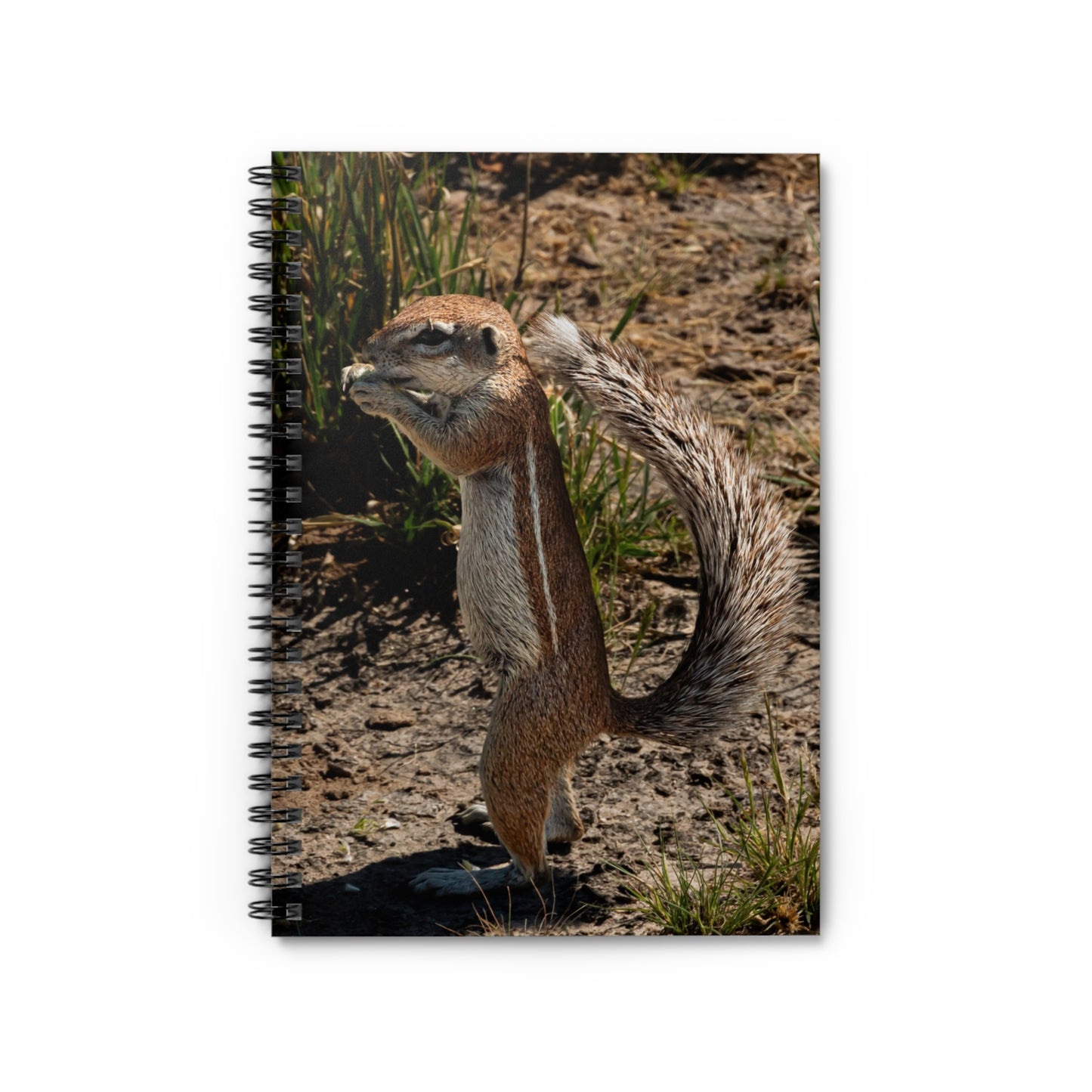 Spiral Notebook - Ruled Line - Ground Squirrel