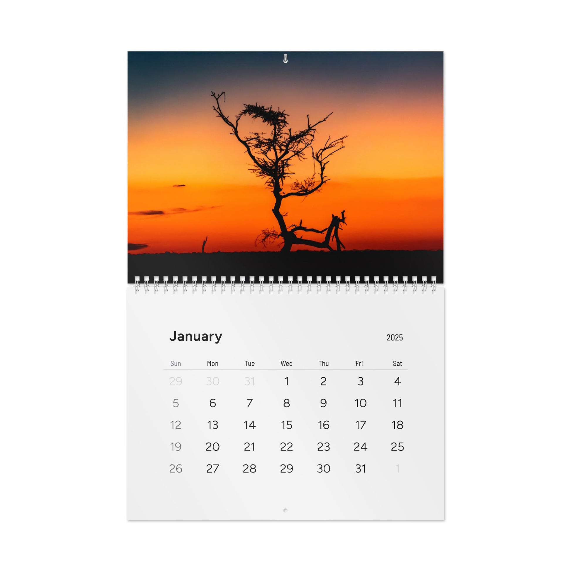 2025 Nature Wildlife Wall Calendar