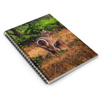 Waterbuck Baby Animal Notebook