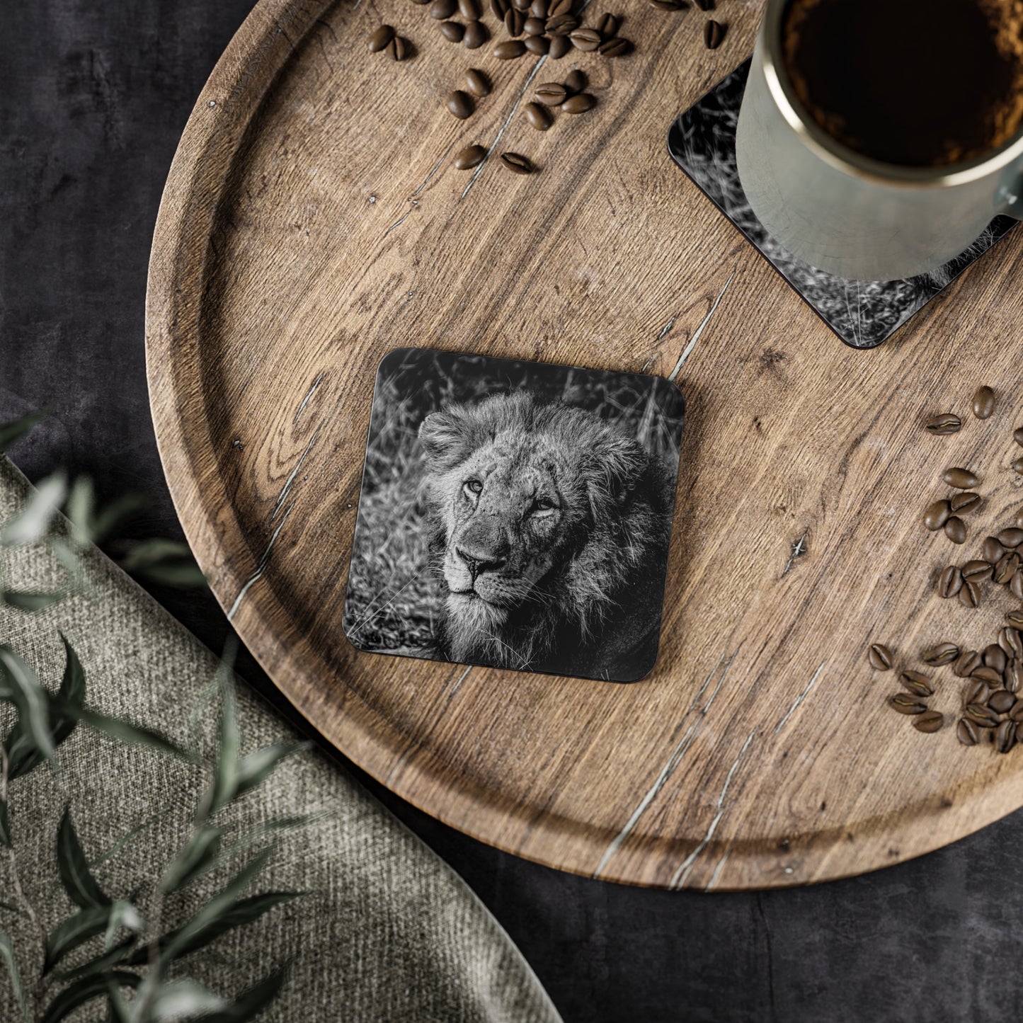 Male Lion Coasters B&W