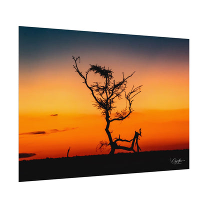 Rolled Posters - Sunset over the Kalahari