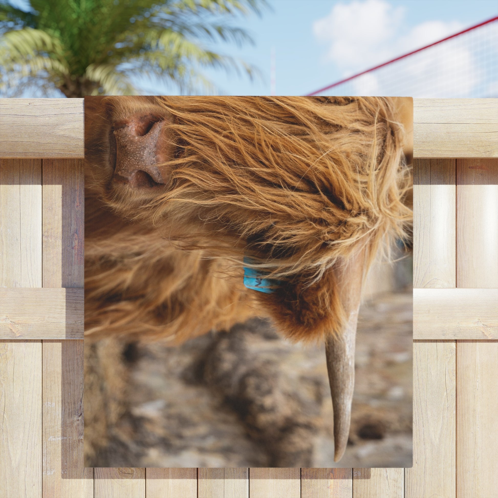 Scottish Highland Beach Towels