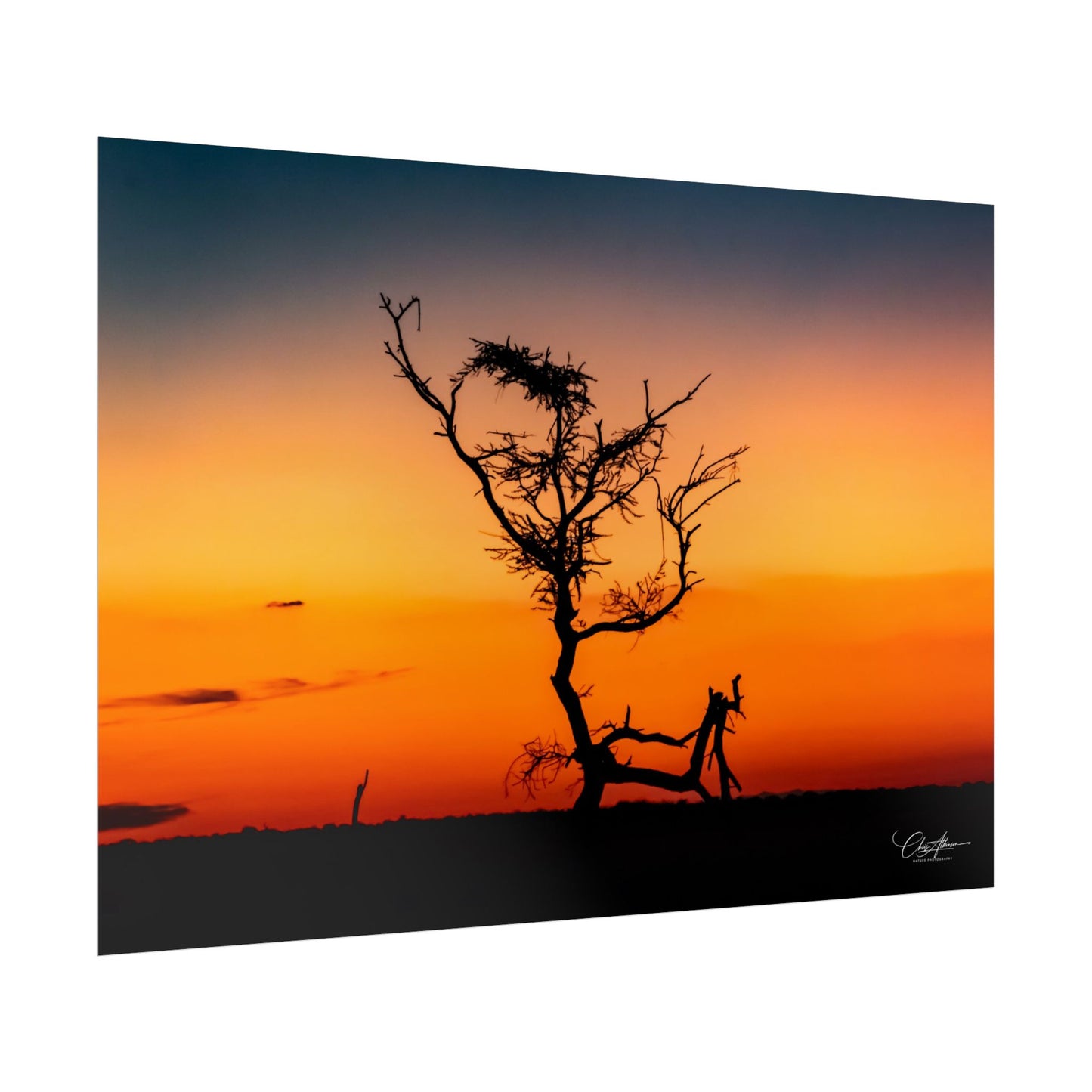 Rolled Posters - Sunset over the Kalahari