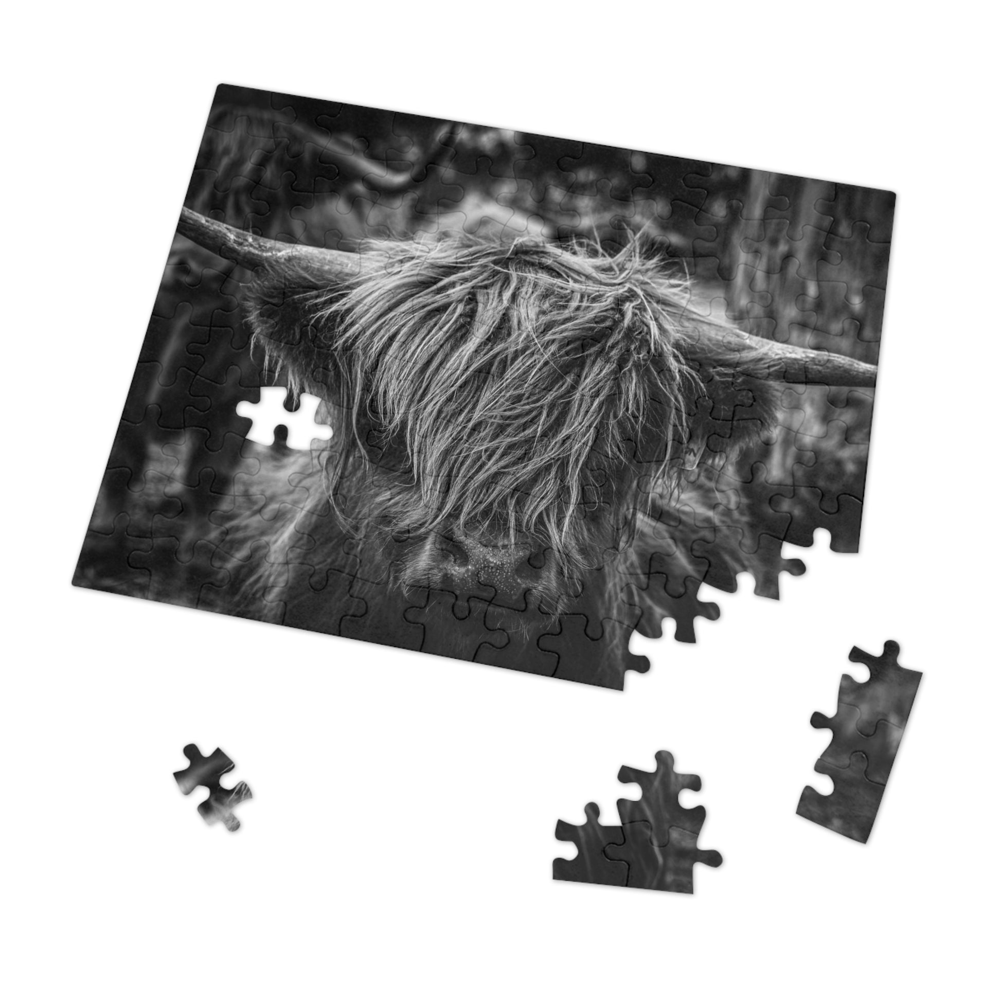 Scottish Highland Cattle Puzzle with Tin B&W