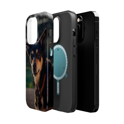 Magsafe® Compatible Tough Cases - Saba The Kelpie