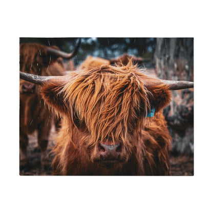 Scottish Highland Cattle Puzzle with Tin 10" × 8" (30 pcs)