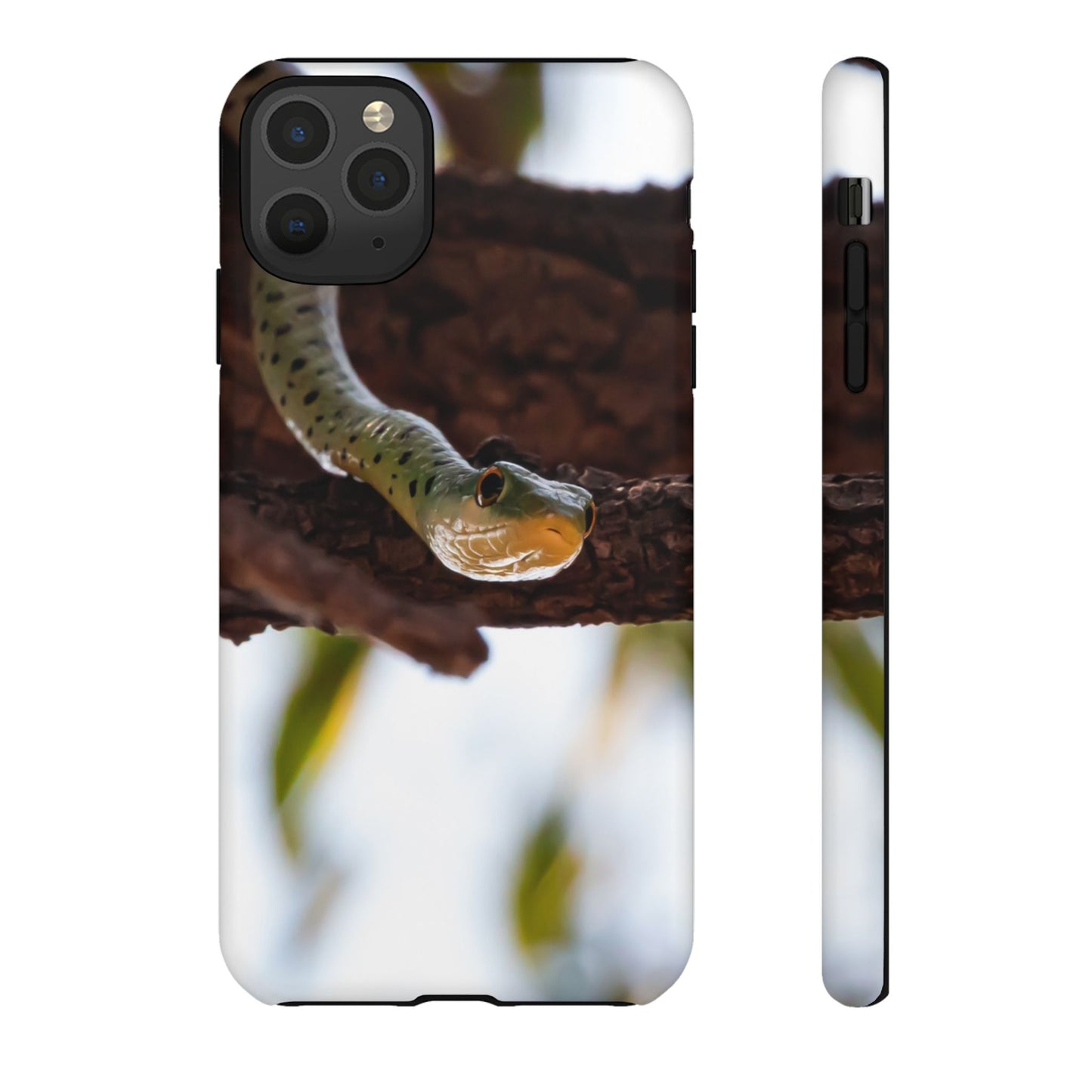 Tough Case - Spotted Bush Snake