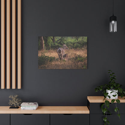 Matte Canvas, Stretched, 1.25" - Waterbuck and Baby