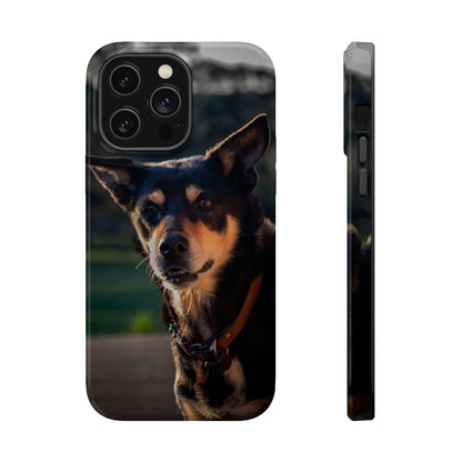 Magsafe® Compatible Tough Cases - Saba The Kelpie iPhone 14 Pro Max Glossy