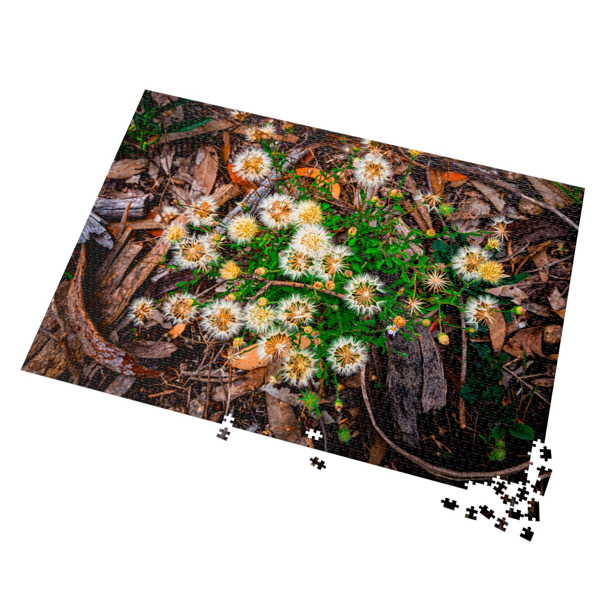 Australian Wildflower Jigsaw Puzzle 2000 piece
