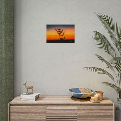 Rolled Posters - Sunset over the Kalahari 17″ x 11″ (Horizontal) Matte