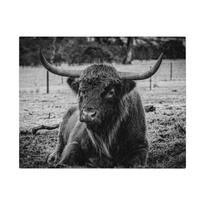 Scottish Highland Cattle Puzzle with Tin B&W 10" × 8" (110 pcs)