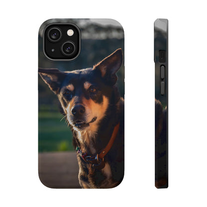 Magsafe® Compatible Tough Cases - Saba The Kelpie iPhone 14 Matte