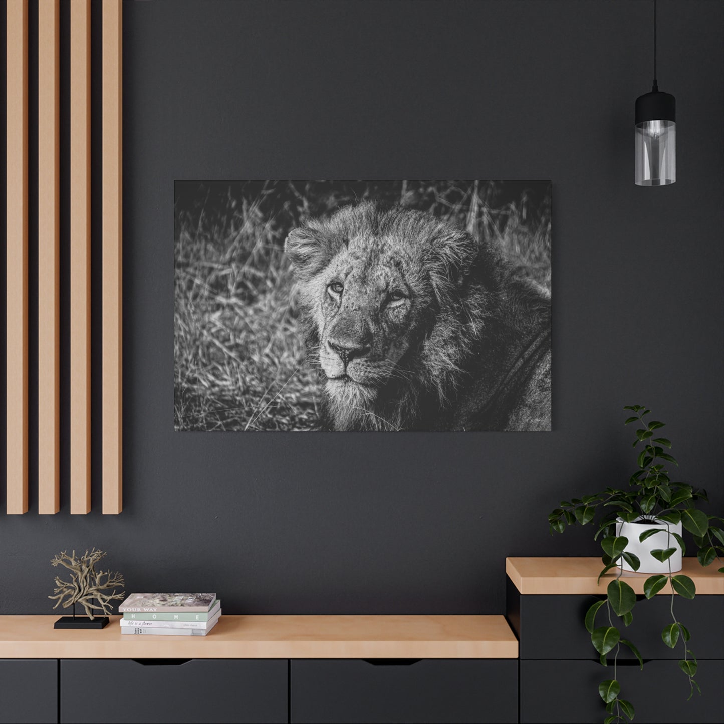 Old Lion Canvas Print B&W