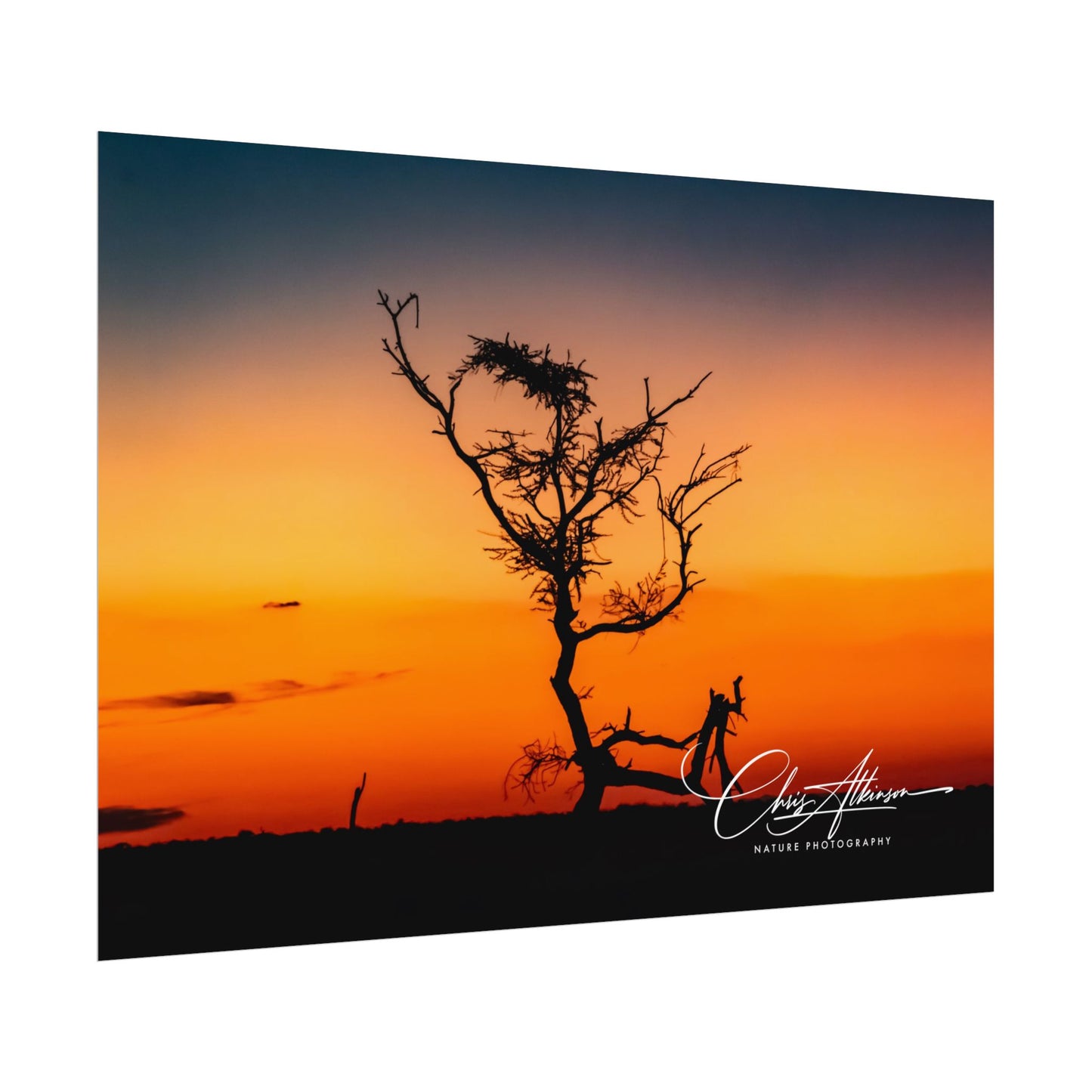 Rolled Posters - Sunset over the Kalahari