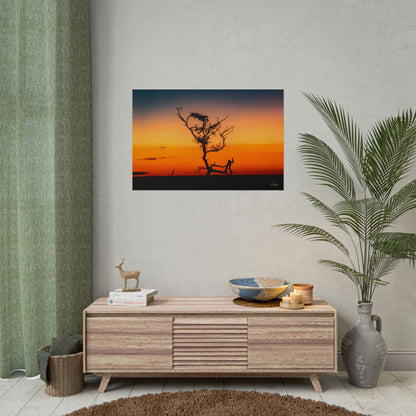 Rolled Posters - Sunset over the Kalahari 36" x 24" (Horizontal) Matte