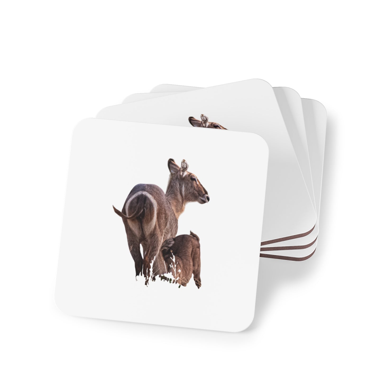 Waterbuck Baby Animal Coasters Square 3.7" x 3.7" 4pcs