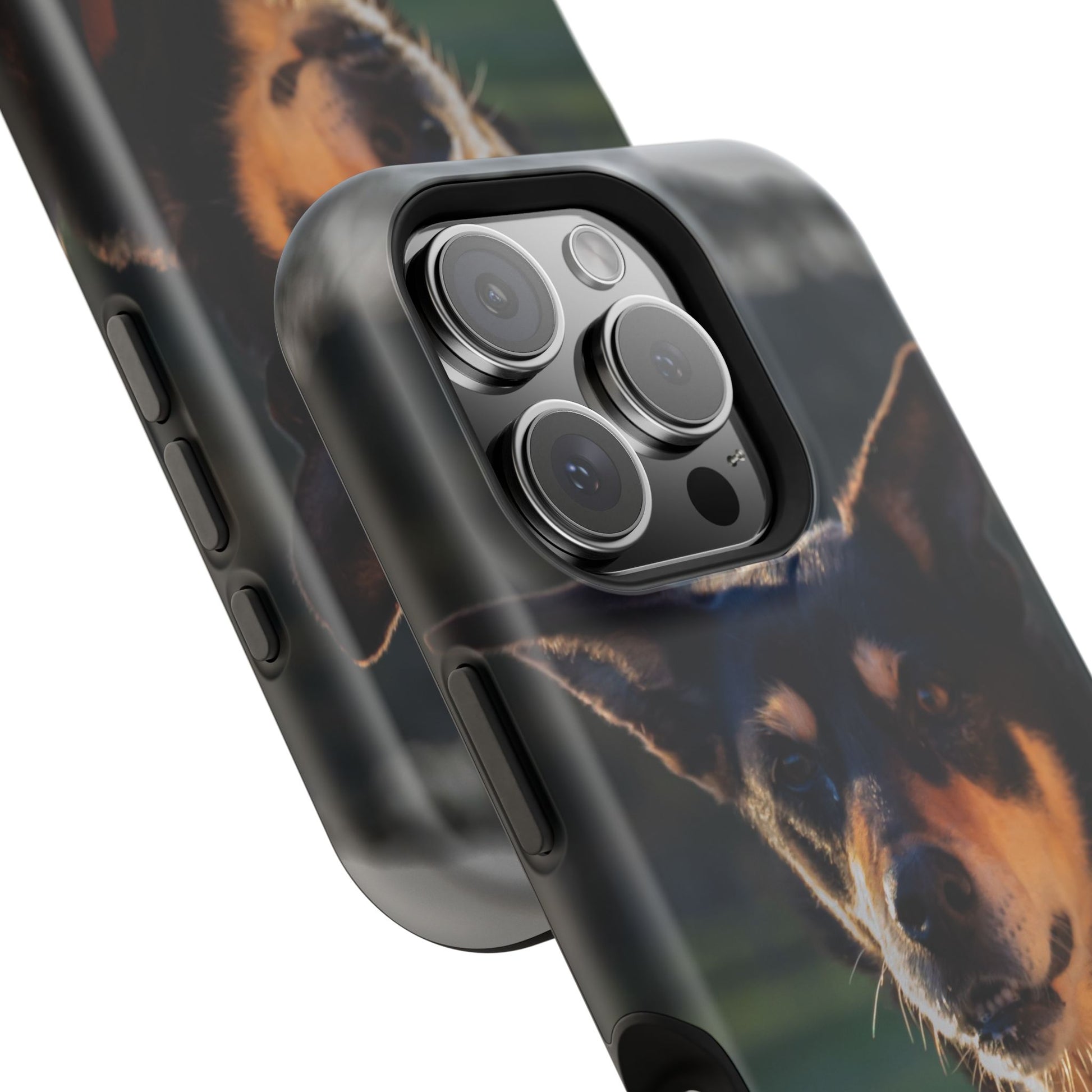 Magsafe® Compatible Tough Cases - Saba The Kelpie