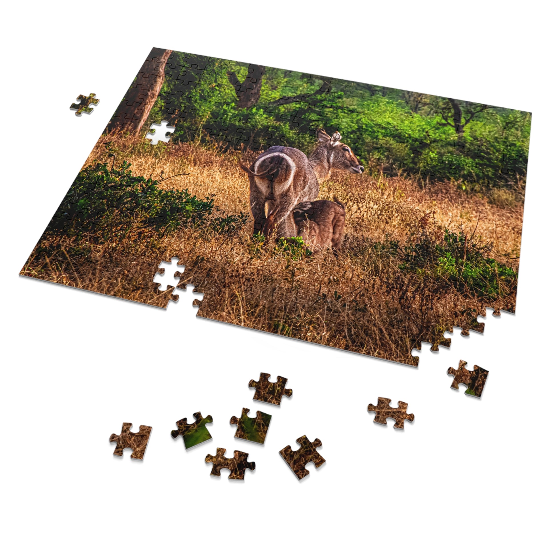 Waterbuck Photo Jigsaw Puzzle with Tin