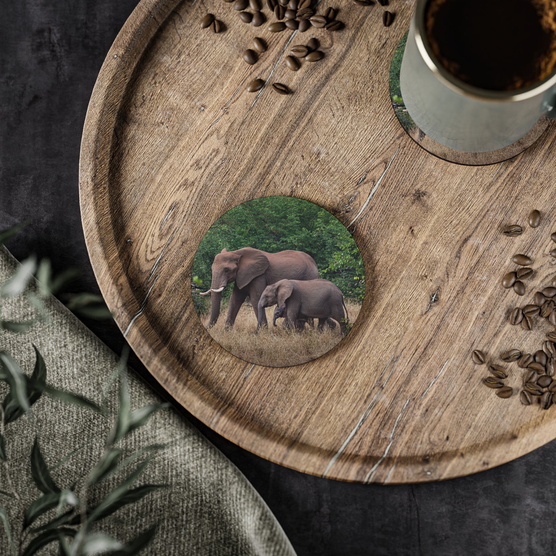 Family of Elephants Coasters