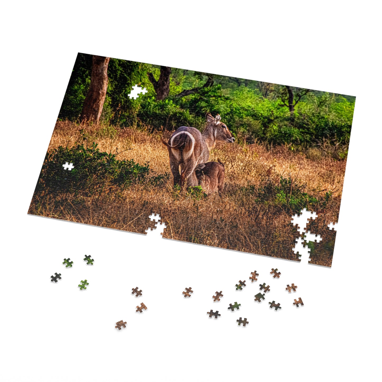 Waterbuck Photo Jigsaw Puzzle with Tin