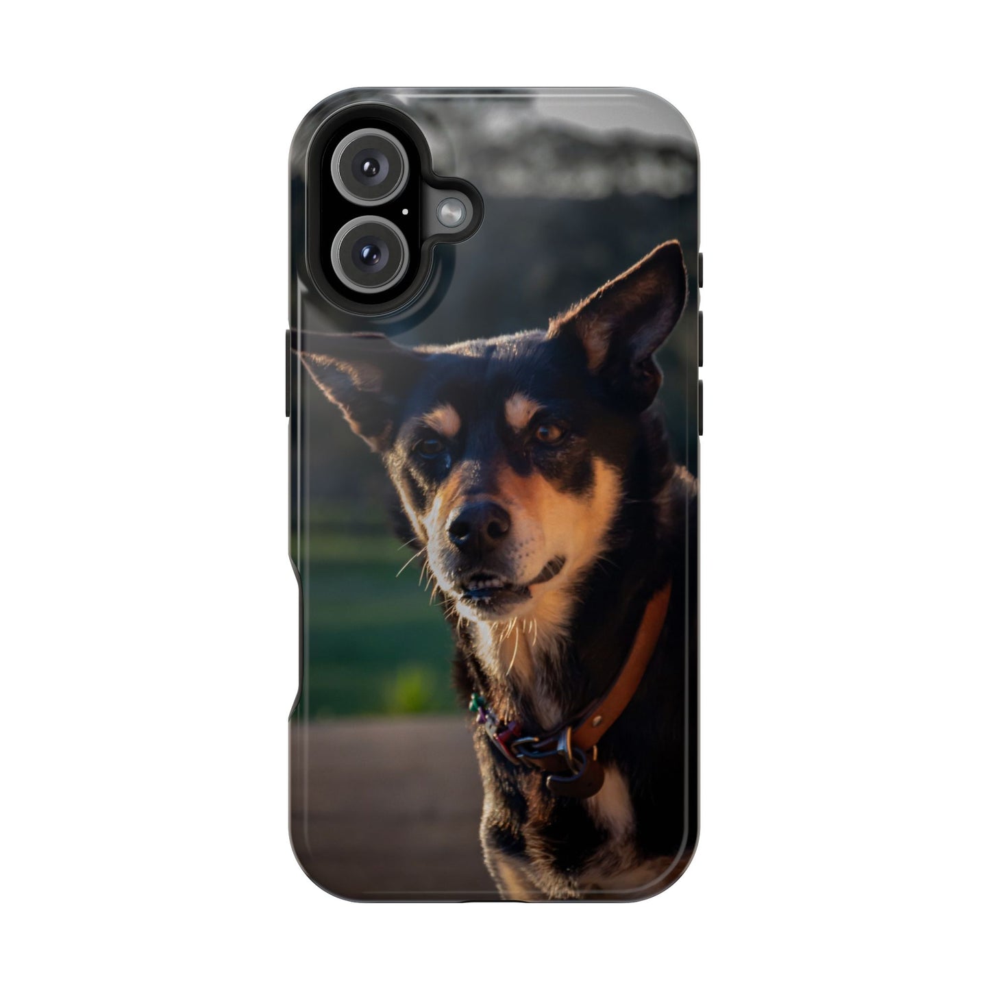 Magsafe® Compatible Tough Cases - Saba The Kelpie