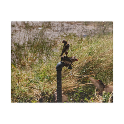 Puzzle (110, 252, 520, 1014-piece) - Birds at a Dripping Tap