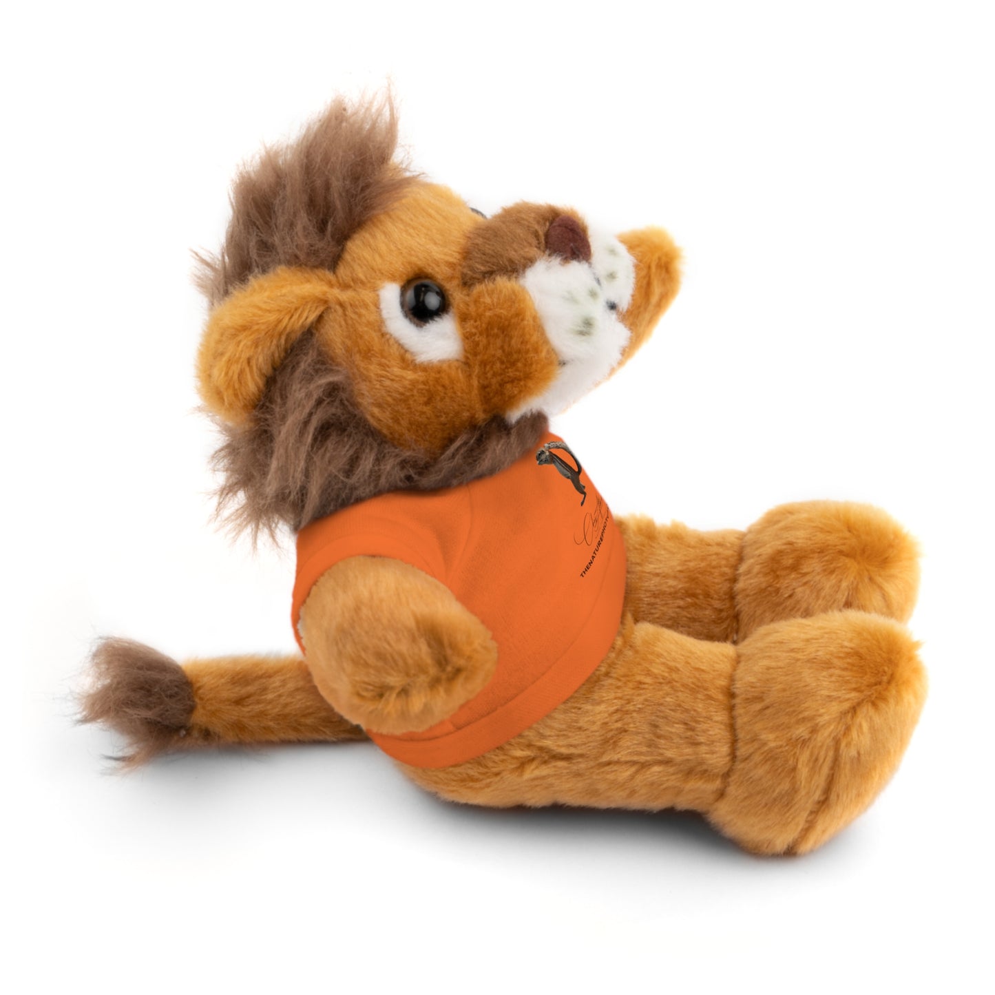 Teddy Lion with Tee