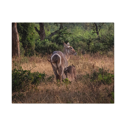 Jigsaw Puzzle (30, 110, 252, 500, 1000 Piece) - Waterbuck and Baby