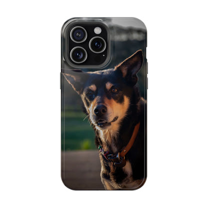 Magsafe® Compatible Tough Cases - Saba The Kelpie iPhone 15 Pro Max Glossy