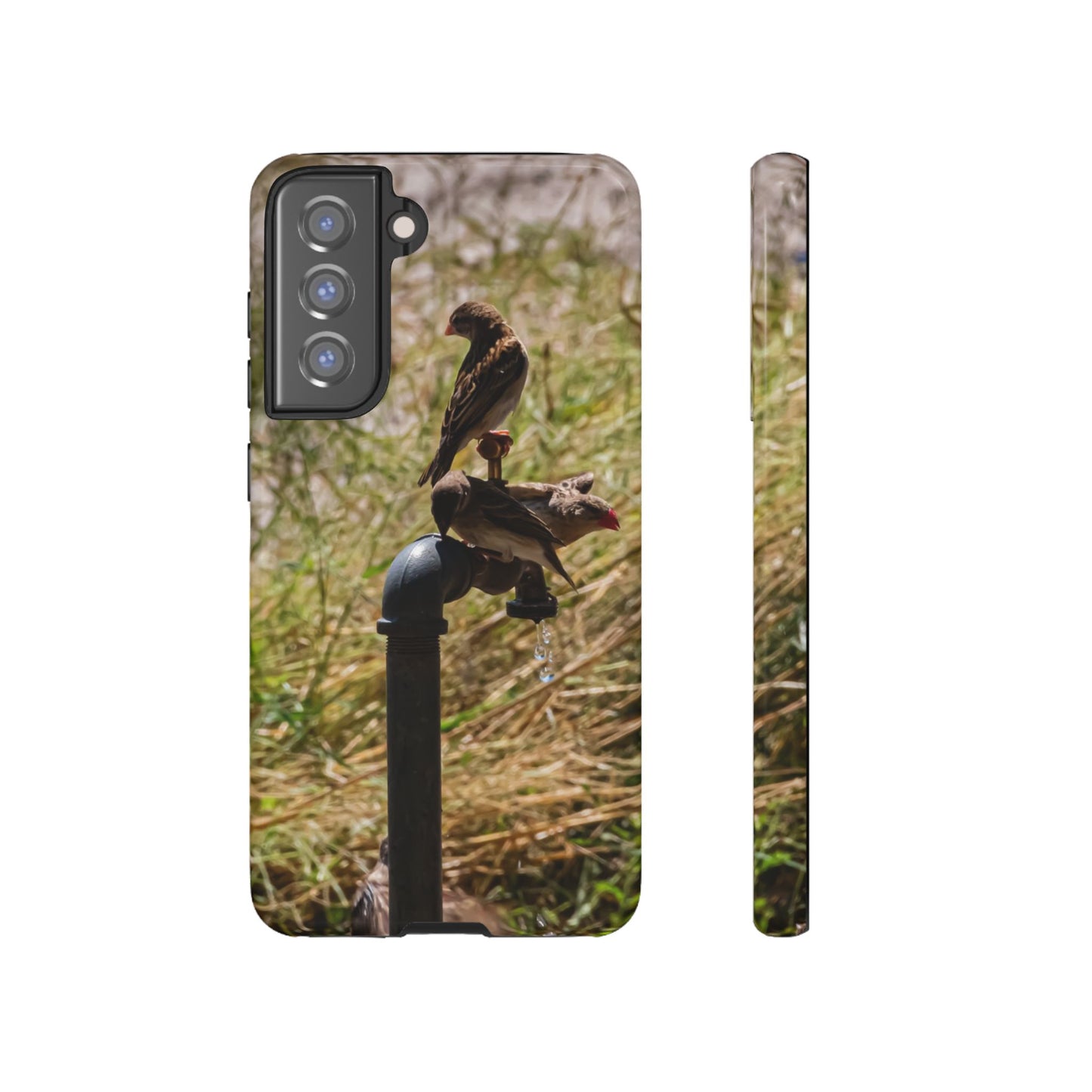 Tough Case - Birds at A Dripping Tap Samsung Galaxy S21 FE Glossy