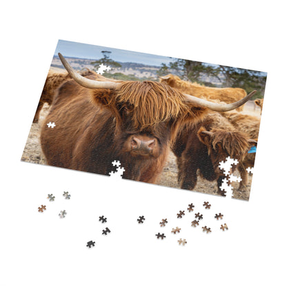 Scottish Highland Cattle Puzzle with Tin