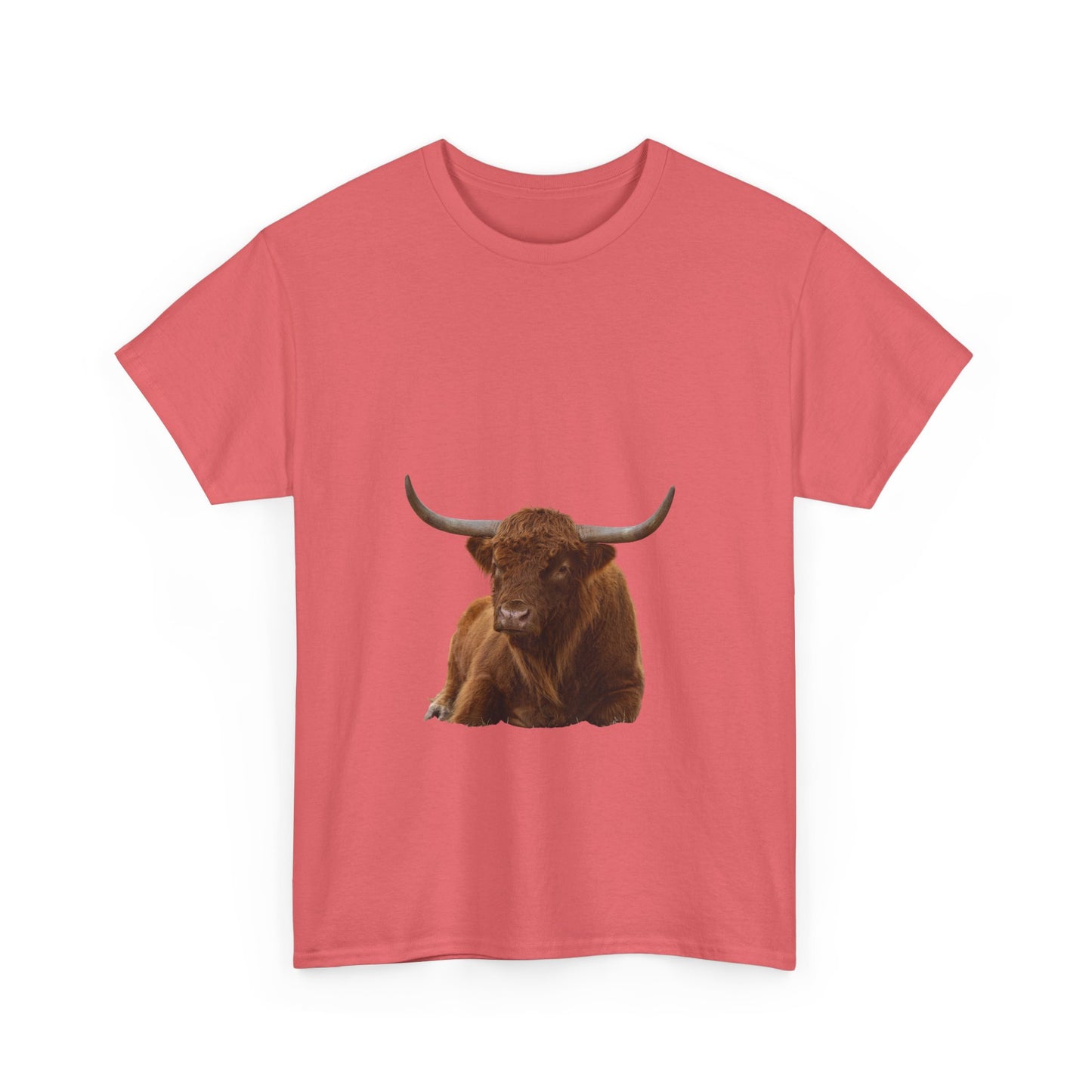 Highland Cattle Tee