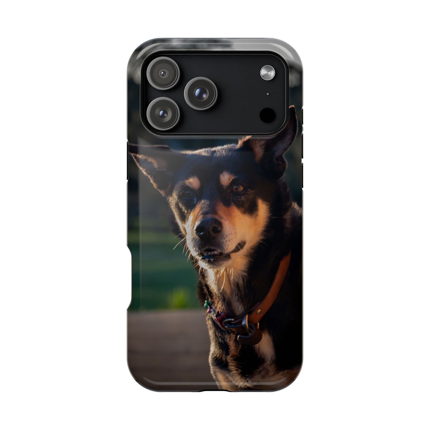 Magsafe® Compatible Tough Cases - Saba The Kelpie iPhone 17 Pro Max Glossy