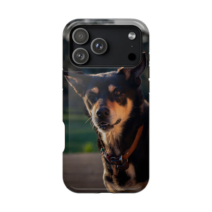Magsafe® Compatible Tough Cases - Saba The Kelpie iPhone 17 Pro Max Glossy