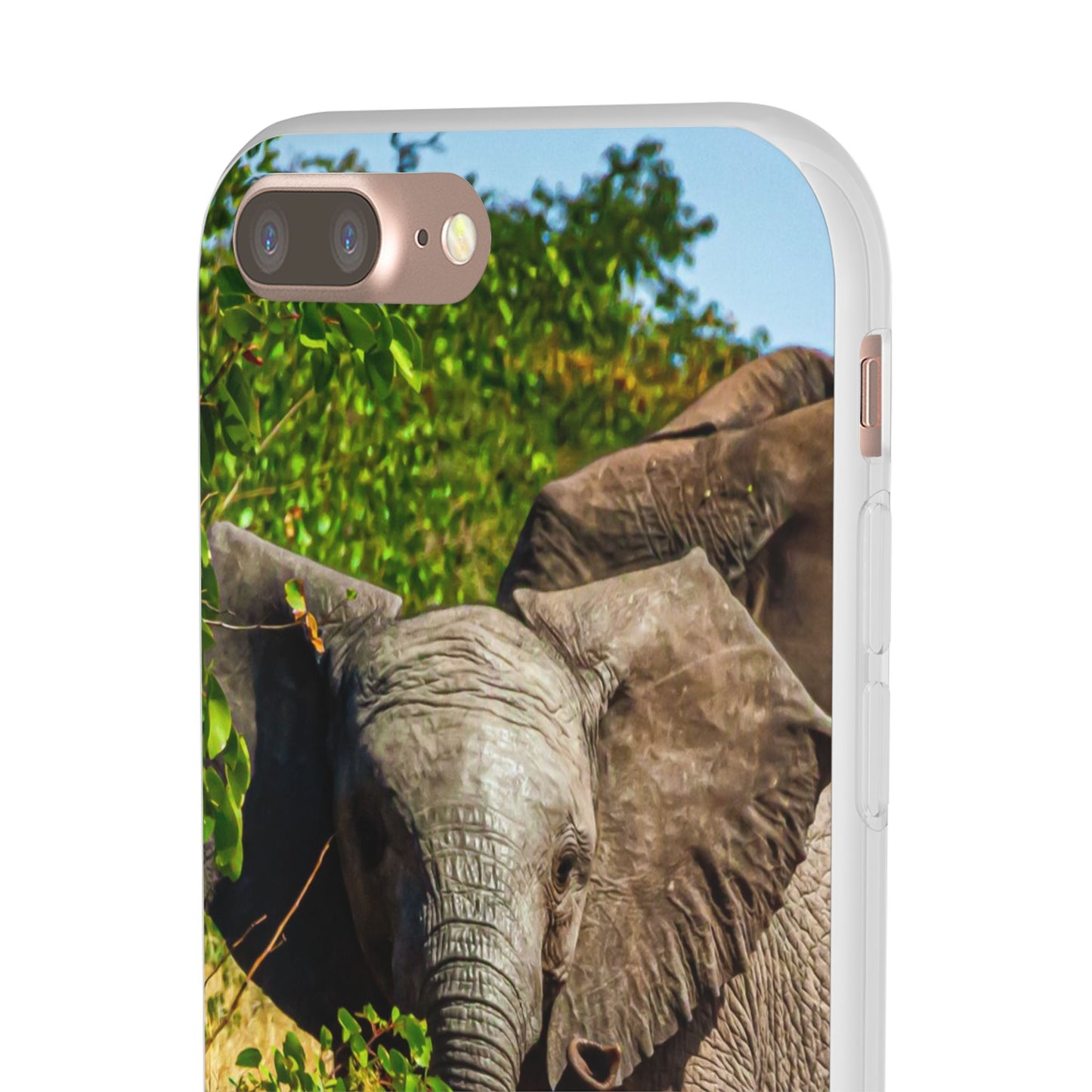 Flexible Young Elephant Cases