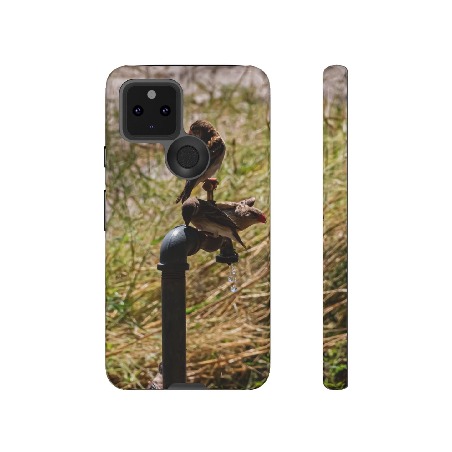 Tough Case - Birds at A Dripping Tap Google Pixel 5 5G Glossy