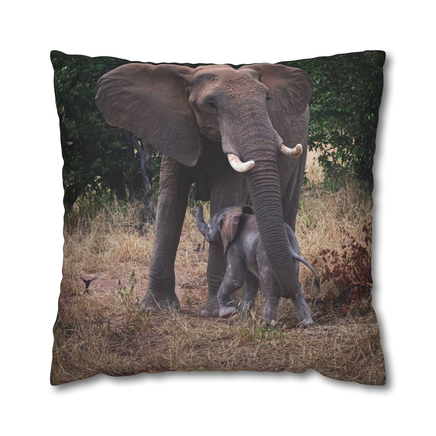 Poly Canvas Pillowcase - Elephant and Calf 26" × 26"