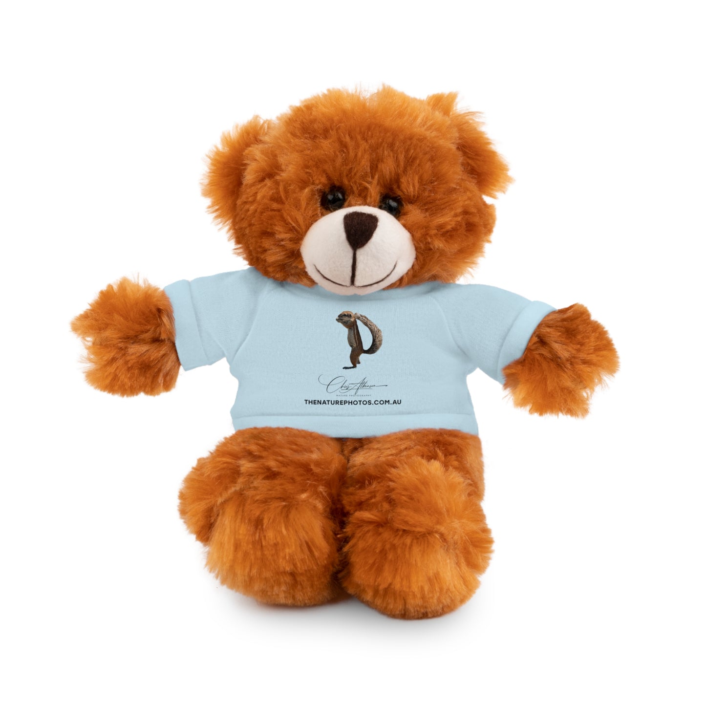 Teddy Bear with Tee