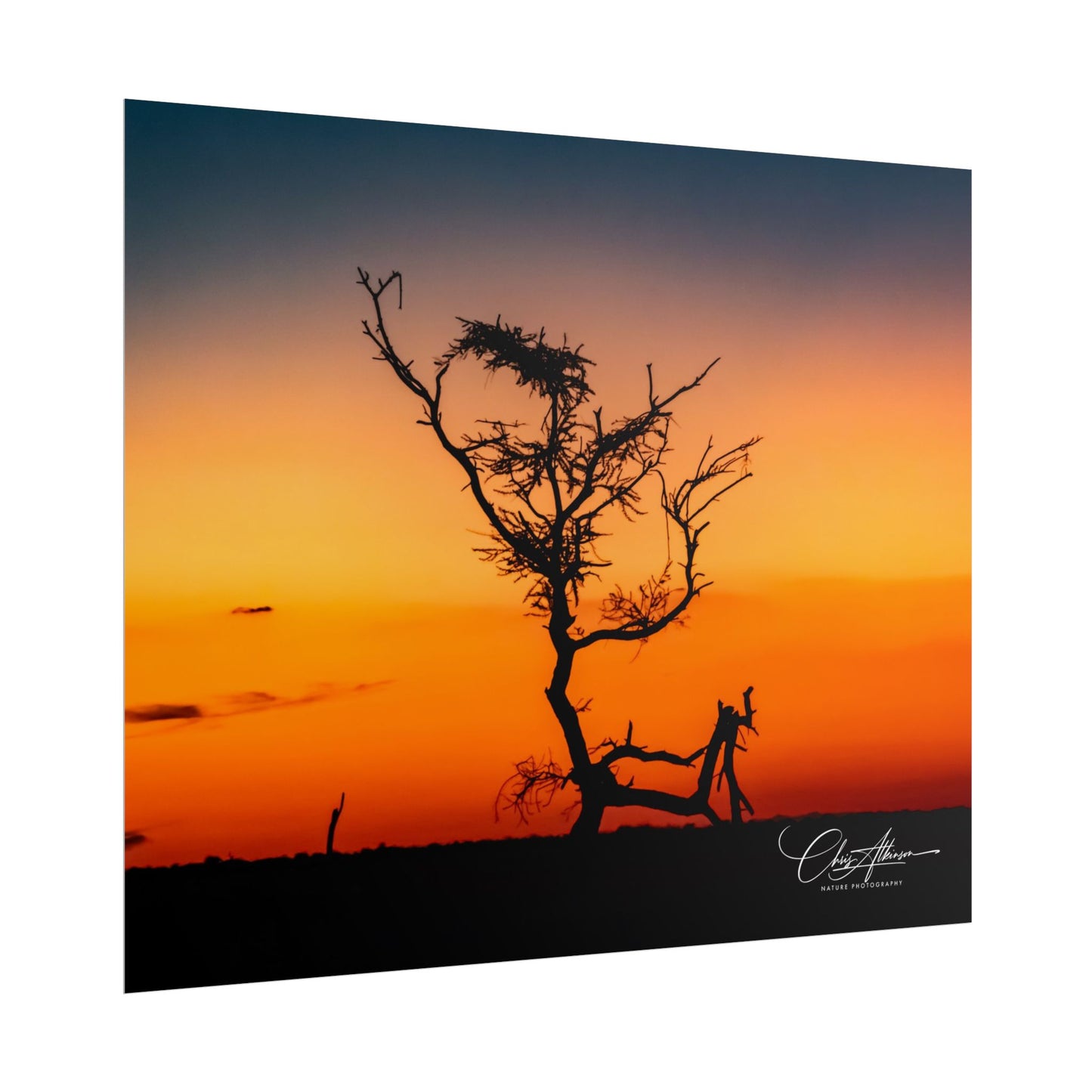 Rolled Posters - Sunset over the Kalahari