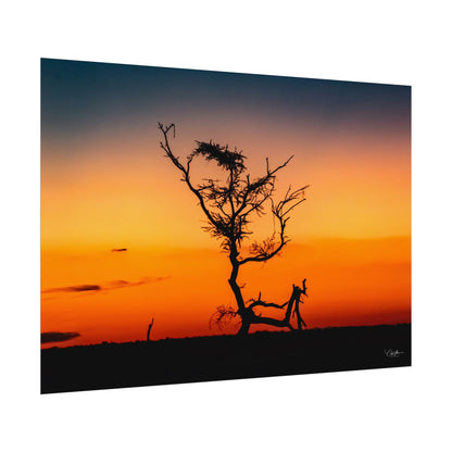 Rolled Posters - Sunset over the Kalahari