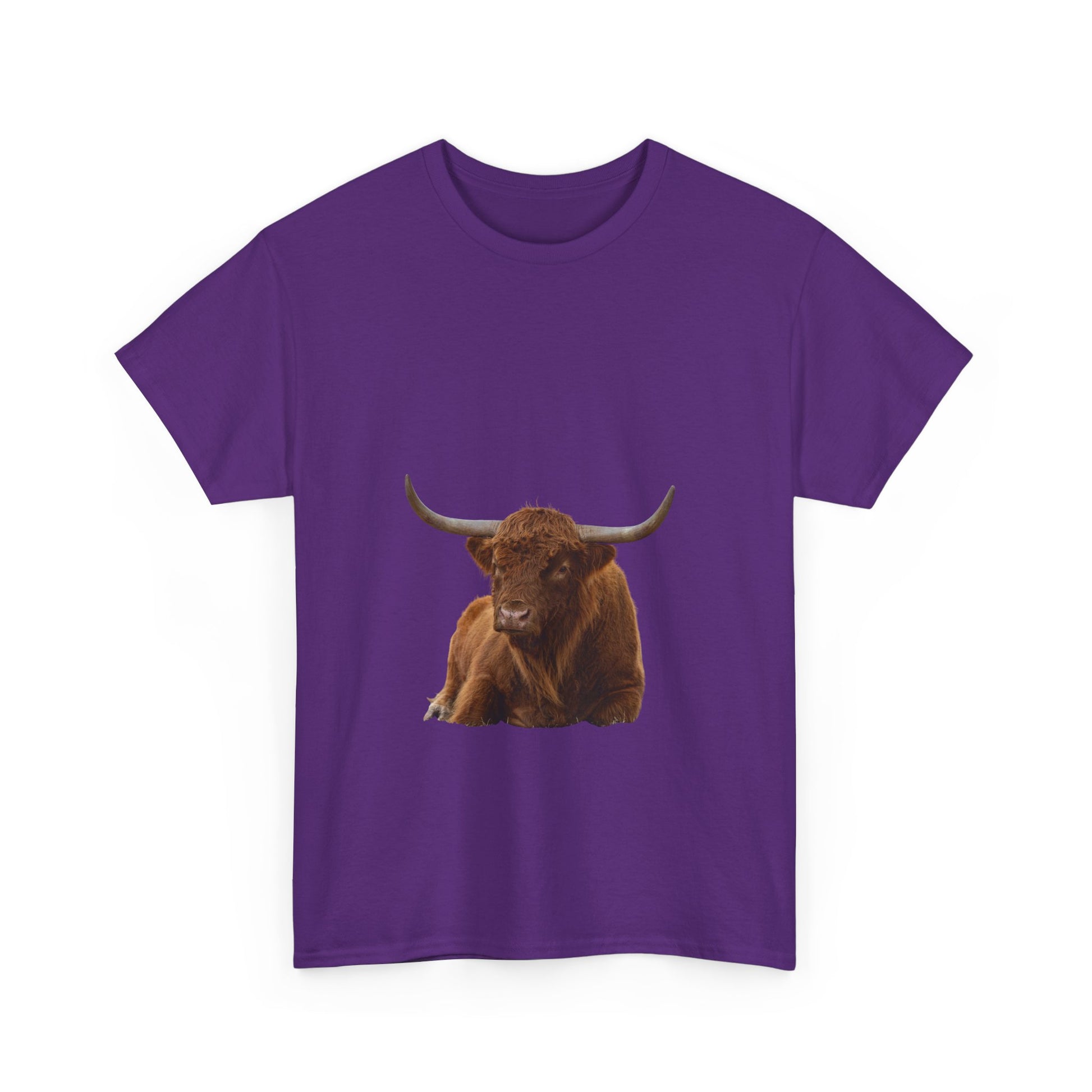 Highland Cattle Tee