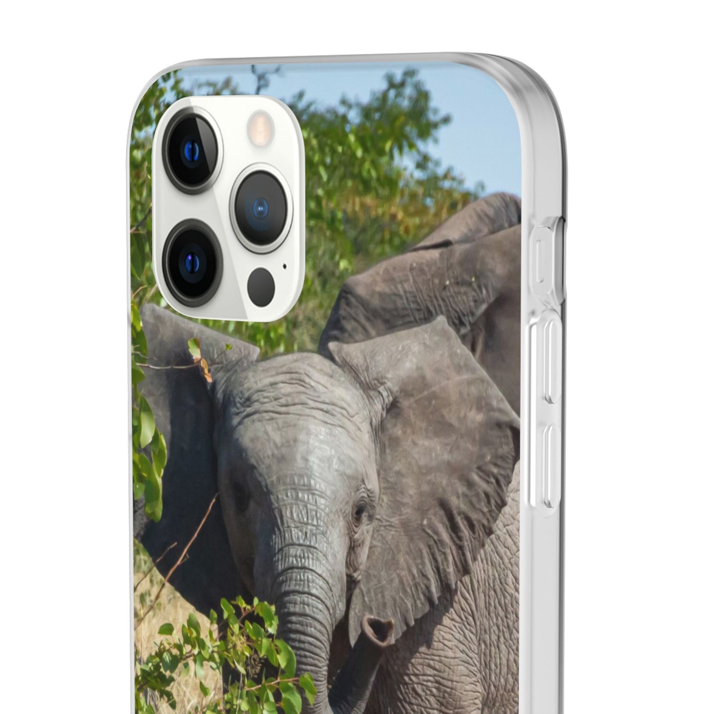 Flexi Cases - Young Elephant