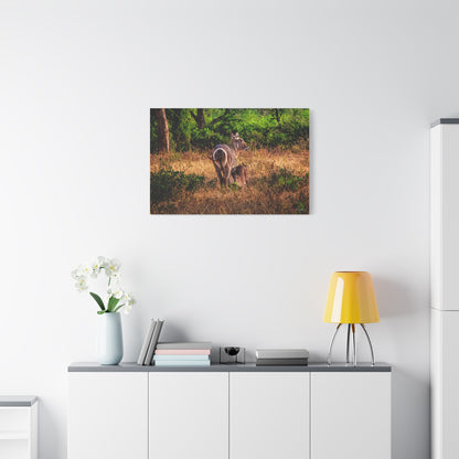 Waterbuck Nature Prints Matte Canvas