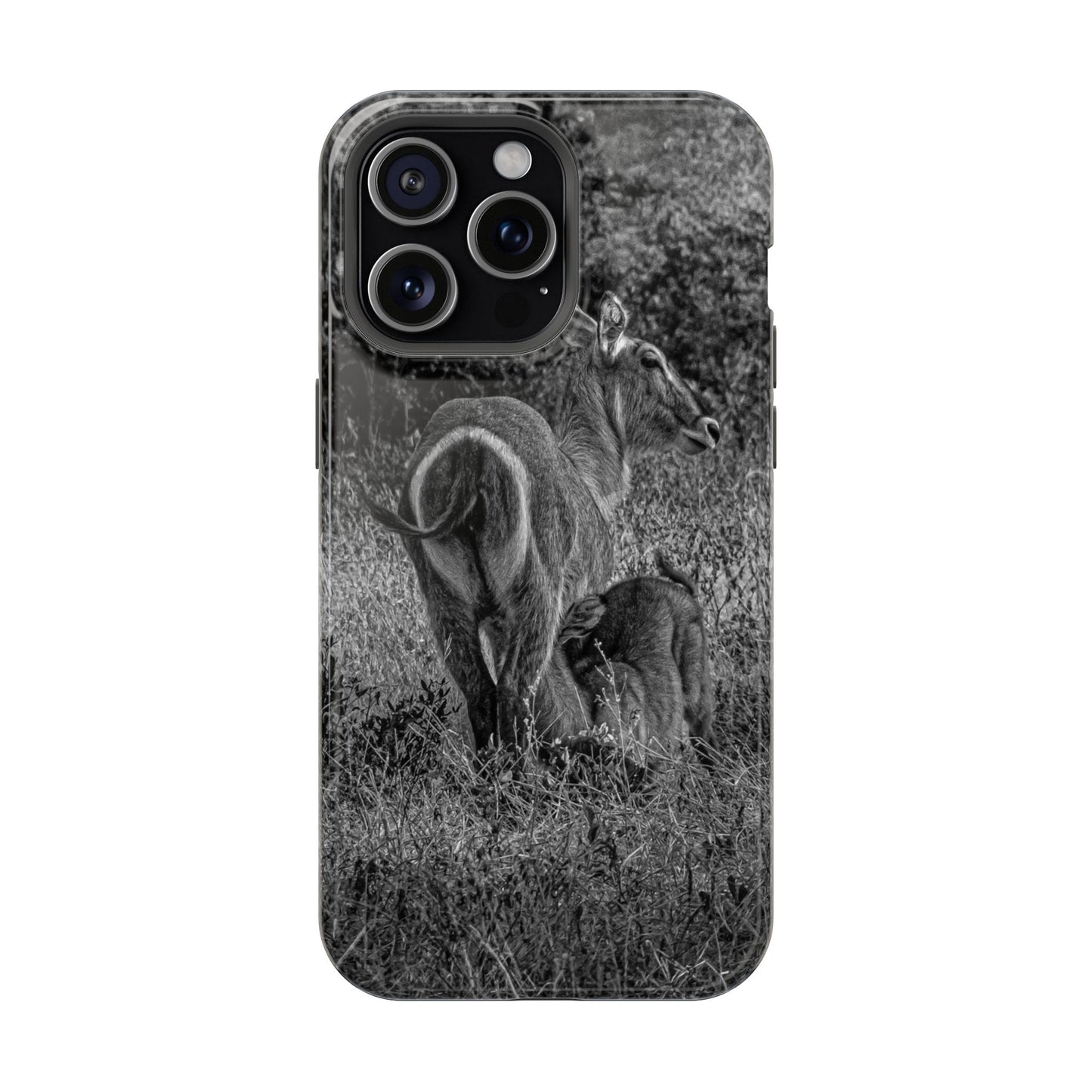 Waterbuck Baby Animal Phone Case - Magsafe B&W iPhone 15 Pro Max Glossy