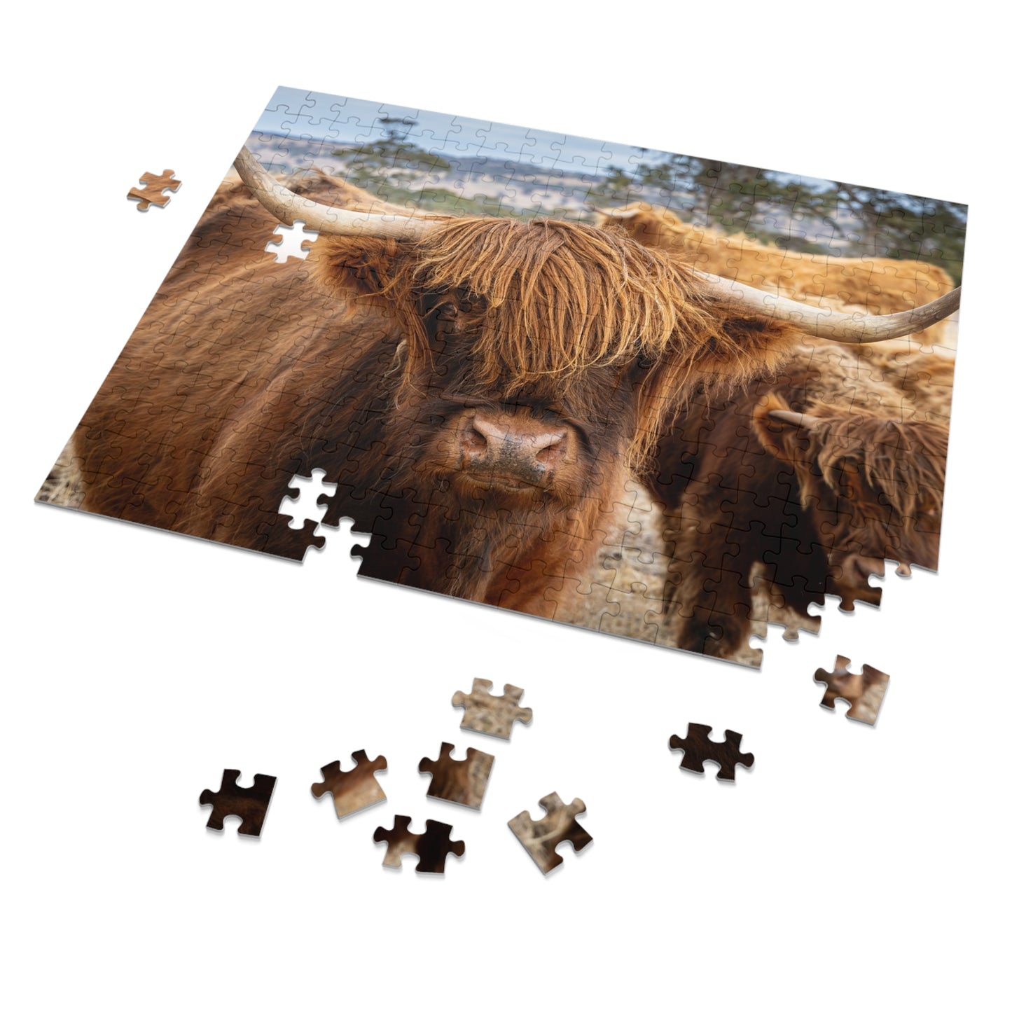 Scottish Highland Cattle Puzzle with Tin