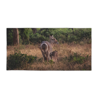 Beach Towels - Waterbuck and Baby